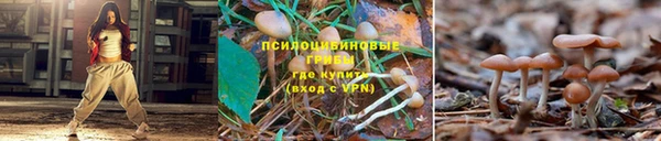 mdpv Алзамай
