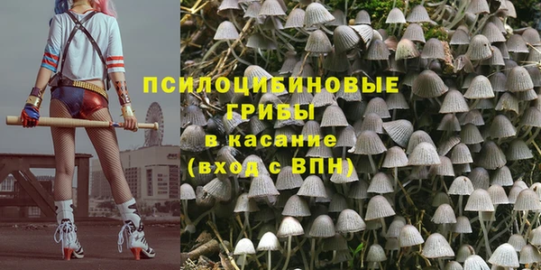 ГАЛЛЮЦИНОГЕННЫЕ ГРИБЫ Алексин