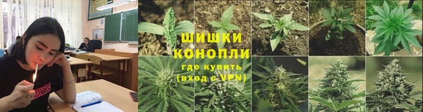 мет Абаза