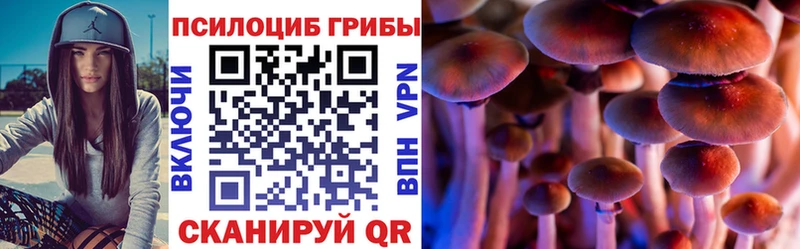 сколько стоит  Слюдянка  Псилоцибиновые грибы Cubensis 